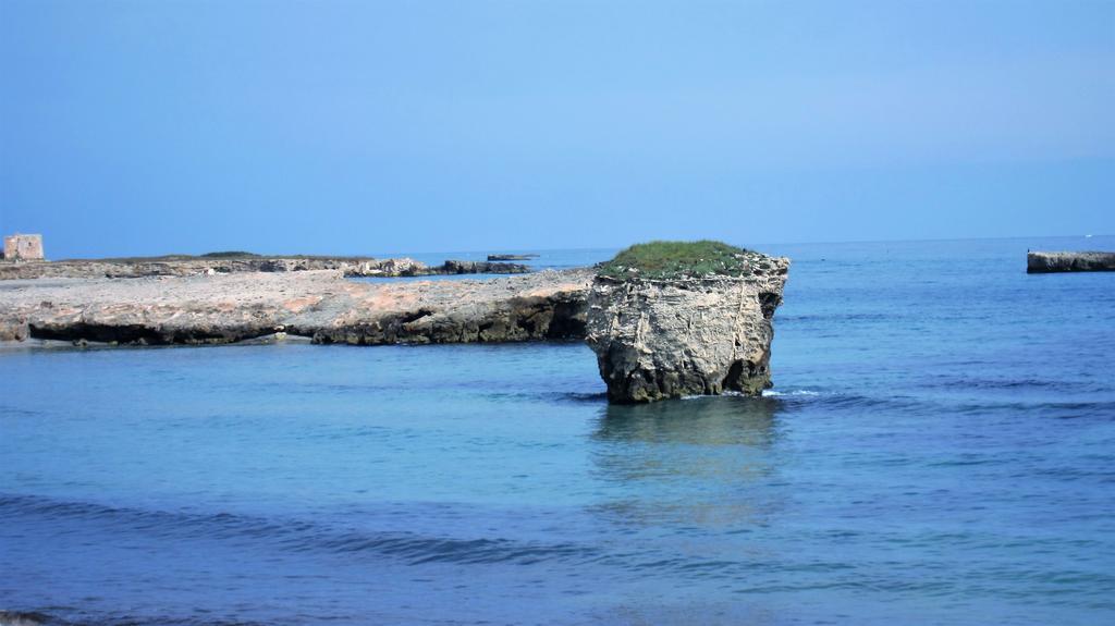 توري سبيشيا روجيري B&B Neptunia Fronte Mare المظهر الخارجي الصورة