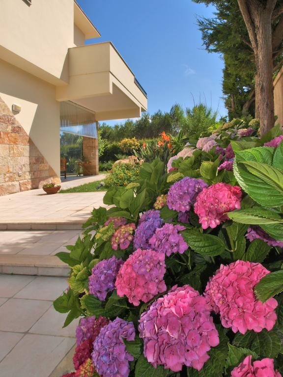 توري سبيشيا روجيري B&B Neptunia Fronte Mare المظهر الخارجي الصورة